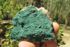 Natural Crystalline Malachite Specimens x 12 From Congo - Toprock Gemstones and Minerals 