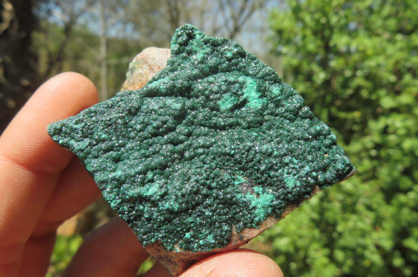Natural Crystalline Malachite Specimens x 12 From Congo - Toprock Gemstones and Minerals 