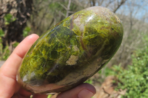 Polished Green Opal Standing Free Forms x 2 From Antsirabe, Madagascar - Toprock Gemstones and Minerals 