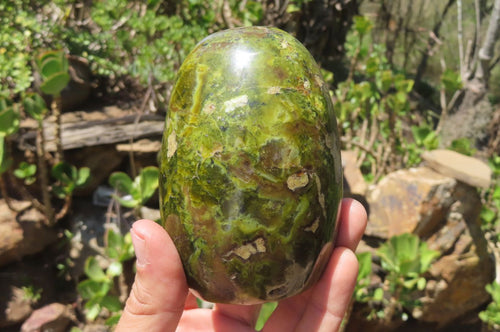 Polished Green Opal Standing Free Forms x 2 From Antsirabe, Madagascar - Toprock Gemstones and Minerals 