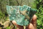 Natural Jade Cobbed Specimens x 12 From Swaziland - Toprock Gemstones and Minerals 