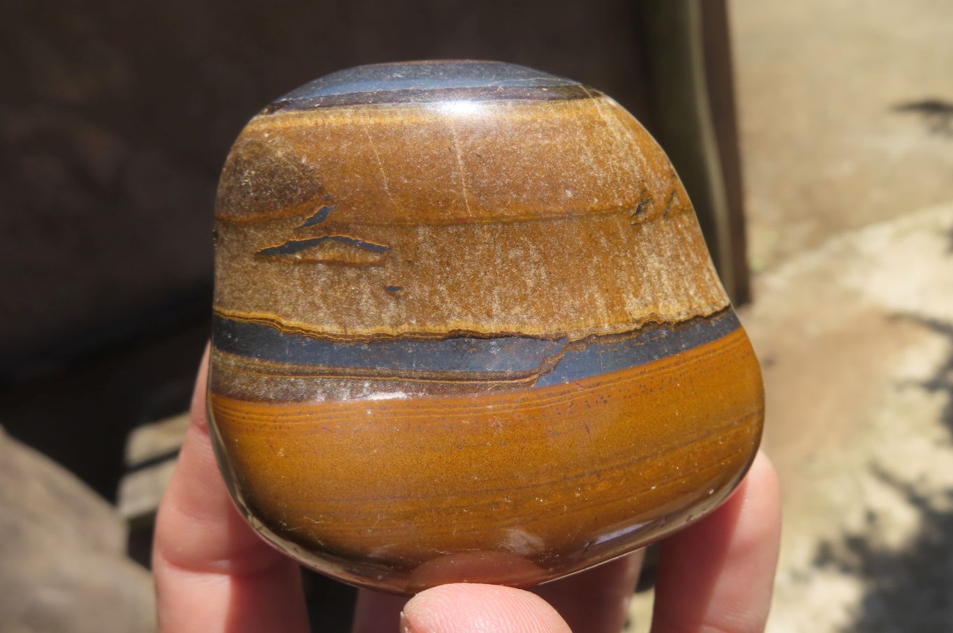 Polished Tiger's Eye Free Forms x 6 From Prieska, South Africa - Toprock Gemstones and Minerals 