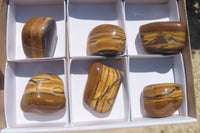 Polished Tiger's Eye Free Forms x 6 From Prieska, South Africa