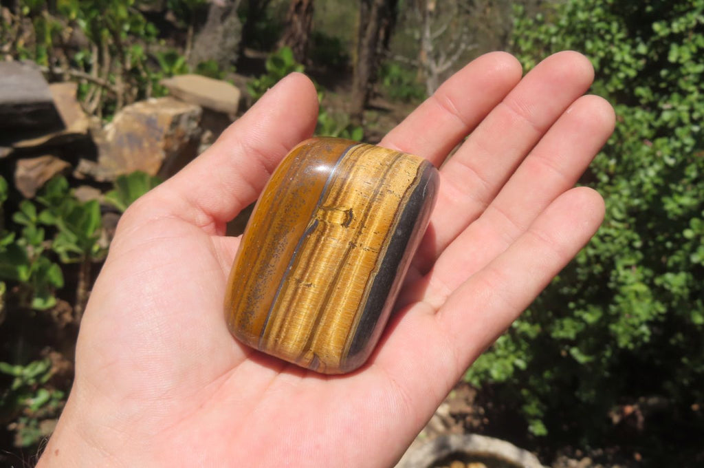 Polished Tiger's Eye Free Forms x 6 From Prieska, South Africa - Toprock Gemstones and Minerals 