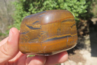 Polished Tiger's Eye Free Forms x 6 From Prieska, South Africa