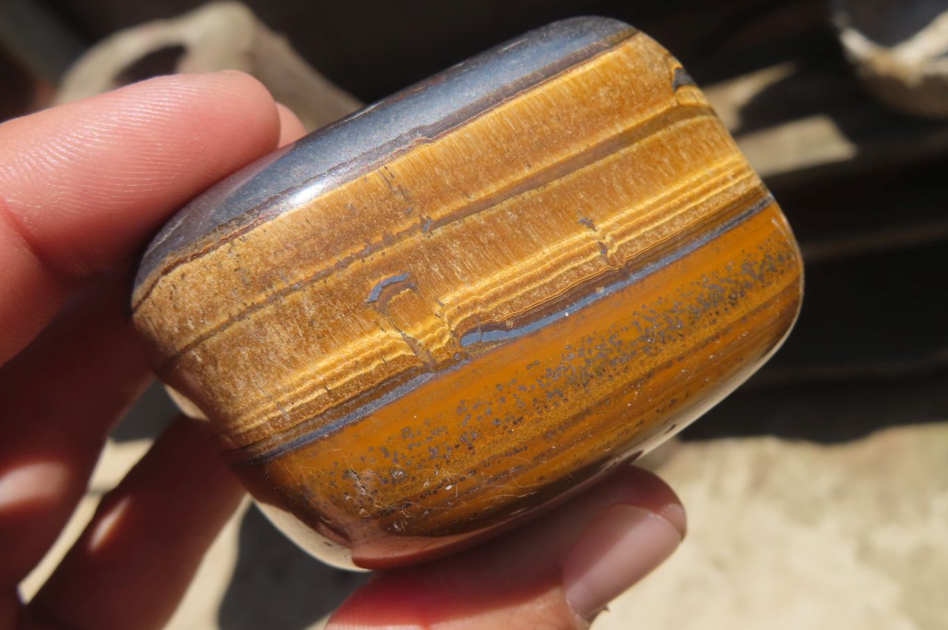 Polished Tiger's Eye Free Forms x 6 From Prieska, South Africa - Toprock Gemstones and Minerals 