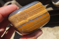 Polished Tiger's Eye Free Forms x 6 From Prieska, South Africa