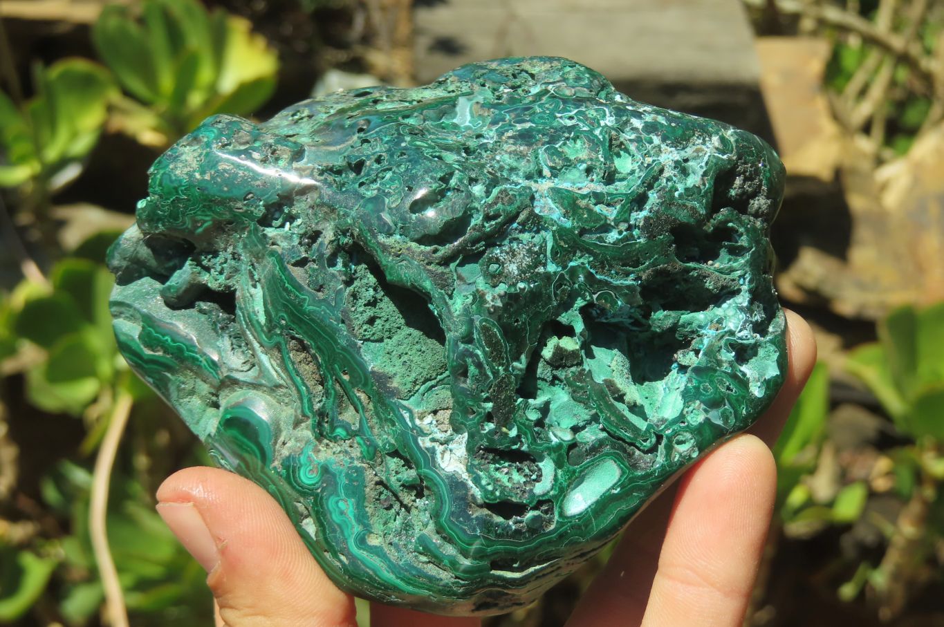 Polished Malacolla Free Forms x 2 From Kalukundi Mine, Congo - Toprock Gemstones and Minerals 