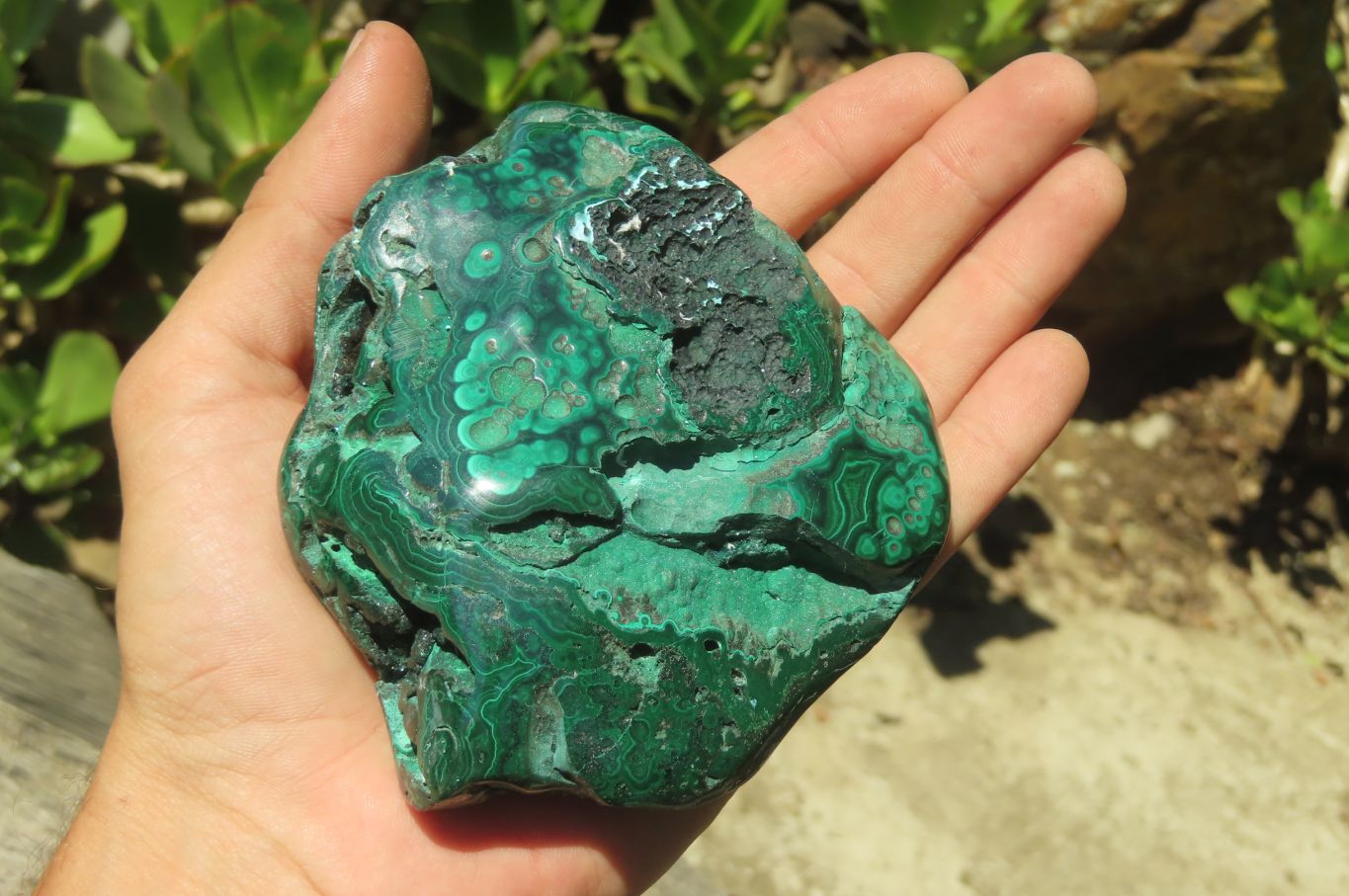 Polished Malacolla Free Forms x 2 From Kalukundi Mine, Congo - Toprock Gemstones and Minerals 