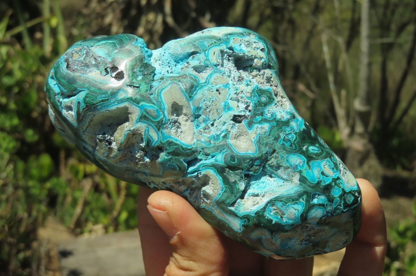 Polished Malacolla Free Forms x 2 From Kalukundi Mine, Congo - Toprock Gemstones and Minerals 