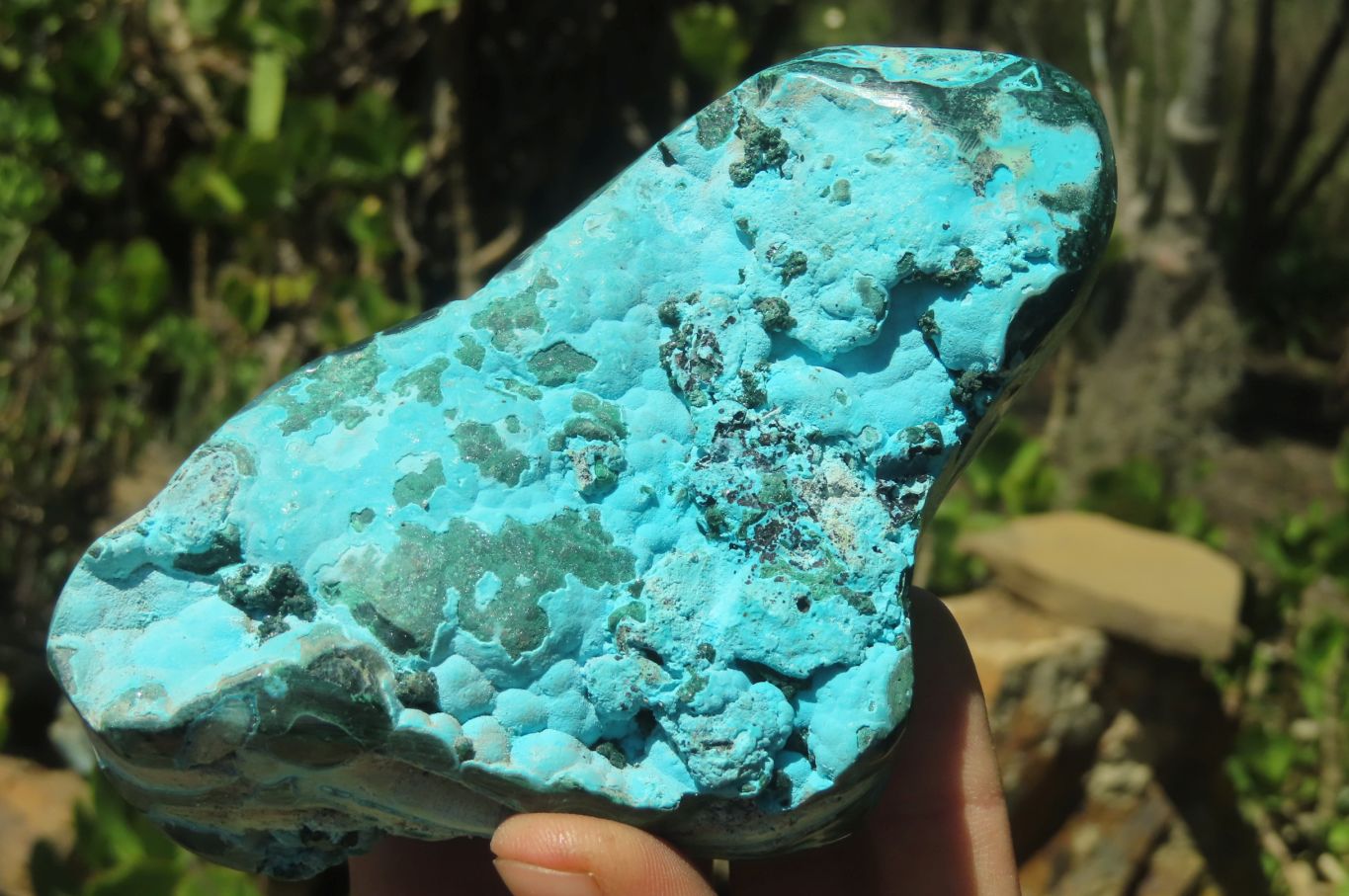 Polished Malacolla Free Forms x 2 From Kalukundi Mine, Congo - Toprock Gemstones and Minerals 