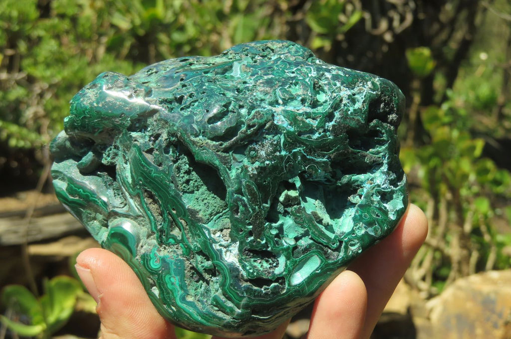 Polished Malacolla Free Forms x 2 From Kalukundi Mine, Congo - Toprock Gemstones and Minerals 