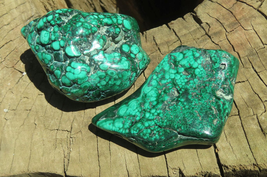 Polished Flower Banded Malachite Free Forms x 6 From Congo - Toprock Gemstones and Minerals 