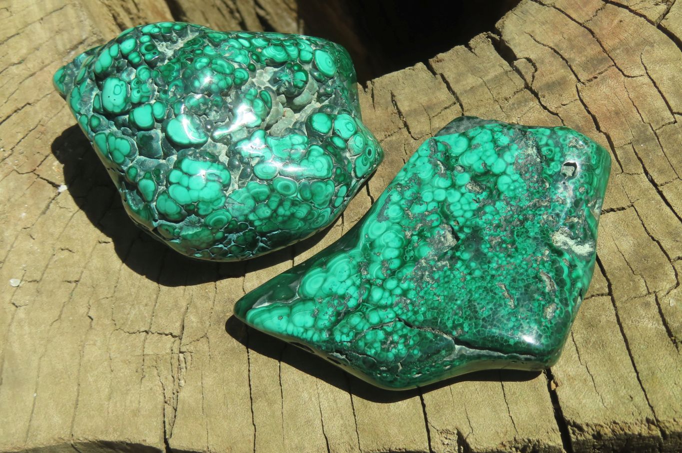 Polished Flower Banded Malachite Free Forms x 6 From Congo - Toprock Gemstones and Minerals 