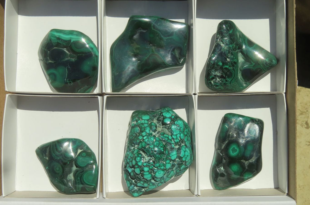 Polished Flower Banded Malachite Free Forms x 6 From Congo - Toprock Gemstones and Minerals 