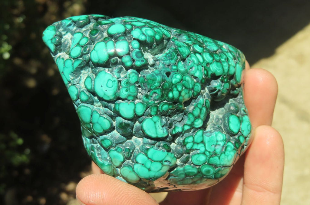 Polished Flower Banded Malachite Free Forms x 6 From Congo - Toprock Gemstones and Minerals 