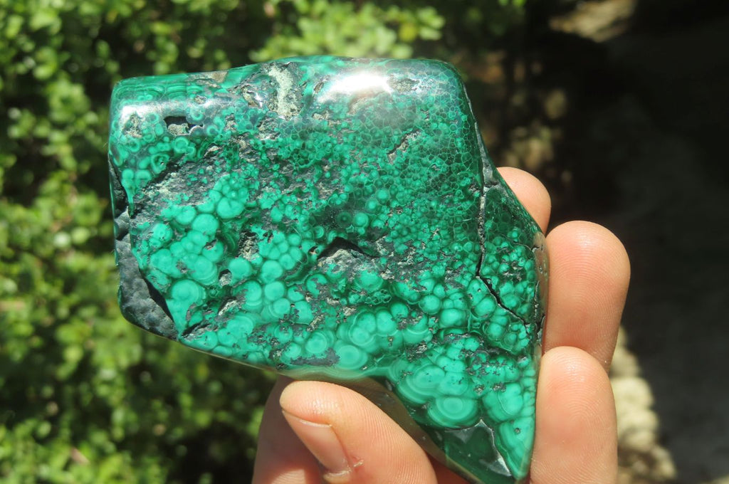 Polished Flower Banded Malachite Free Forms x 6 From Congo - Toprock Gemstones and Minerals 