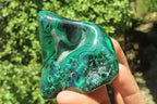 Polished Flower Banded Malachite Free Forms x 6 From Congo - Toprock Gemstones and Minerals 