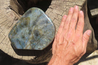 Polished Labradorite Standing Free Form x 1 From Madagascar - Toprock Gemstones and Minerals 