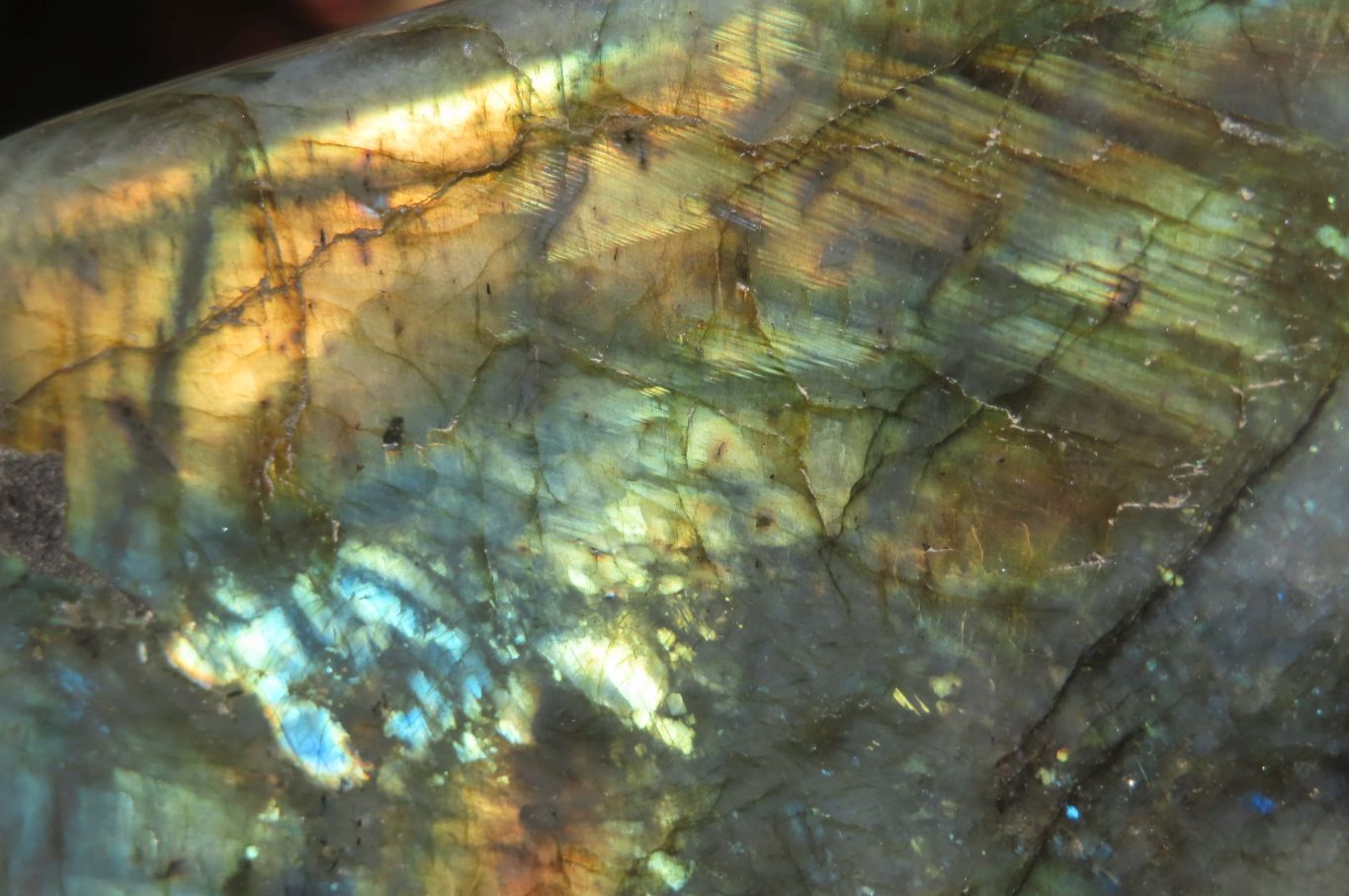 Polished Labradorite Standing Free Form x 1 From Madagascar - Toprock Gemstones and Minerals 