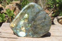 Polished Labradorite Standing Free Form x 1 From Madagascar - Toprock Gemstones and Minerals 