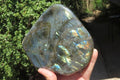 Polished Labradorite Standing Free Form x 1 From Madagascar - Toprock Gemstones and Minerals 