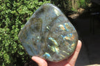 Polished Labradorite Standing Free Form x 1 From Madagascar - Toprock Gemstones and Minerals 