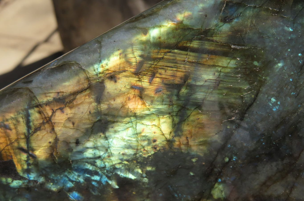 Polished Labradorite Standing Free Form x 1 From Madagascar - Toprock Gemstones and Minerals 