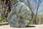 Polished Labradorite Standing Free Form x 1 From Madagascar - Toprock Gemstones and Minerals 