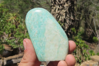 Polished Amazonite Free Forms x 12 From Zimbabwe