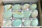 Polished Amazonite Free Forms x 12 From Zimbabwe - Toprock Gemstones and Minerals 