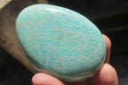 Polished Amazonite Free Forms x 12 From Zimbabwe - Toprock Gemstones and Minerals 