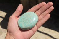 Polished Amazonite Free Forms x 12 From Zimbabwe