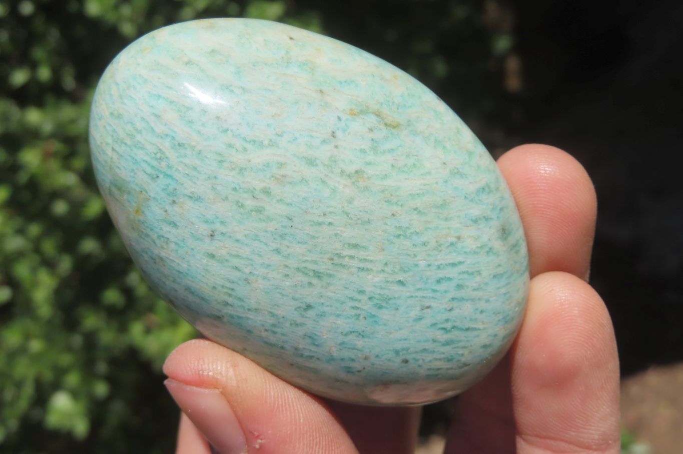 Polished Amazonite Free Forms x 12 From Zimbabwe - Toprock Gemstones and Minerals 