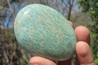 Polished Amazonite Free Forms x 12 From Zimbabwe