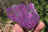 Polished On One Side Metallic Purpurite x 6 From Namibia - Toprock Gemstones and Minerals 