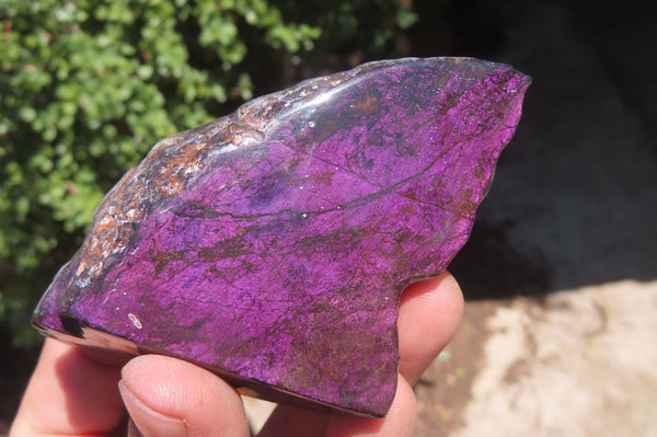 Polished On One Side Metallic Purpurite x 6 From Namibia - Toprock Gemstones and Minerals 