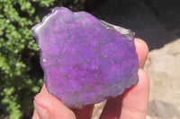 Polished On One Side Metallic Purpurite x 6 From Namibia - Toprock Gemstones and Minerals 