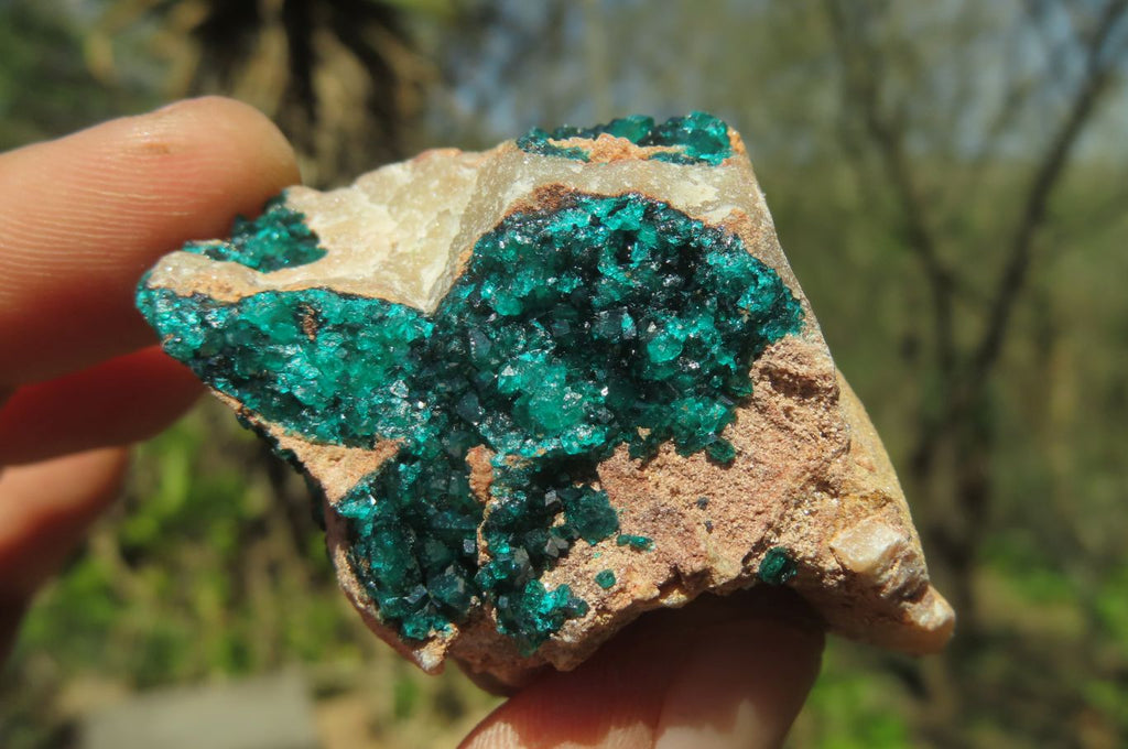 Natural Dioptase On Dolomite Specimens x 6 From Likasi, Congo - Toprock Gemstones and Minerals 