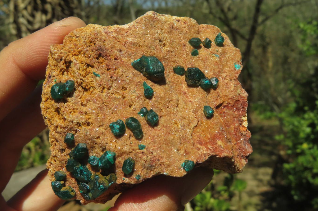 Natural Dioptase On Dolomite Specimens x 6 From Likasi, Congo - Toprock Gemstones and Minerals 