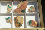 Natural Dioptase On Dolomite Specimens x 6 From Likasi, Congo - Toprock Gemstones and Minerals 