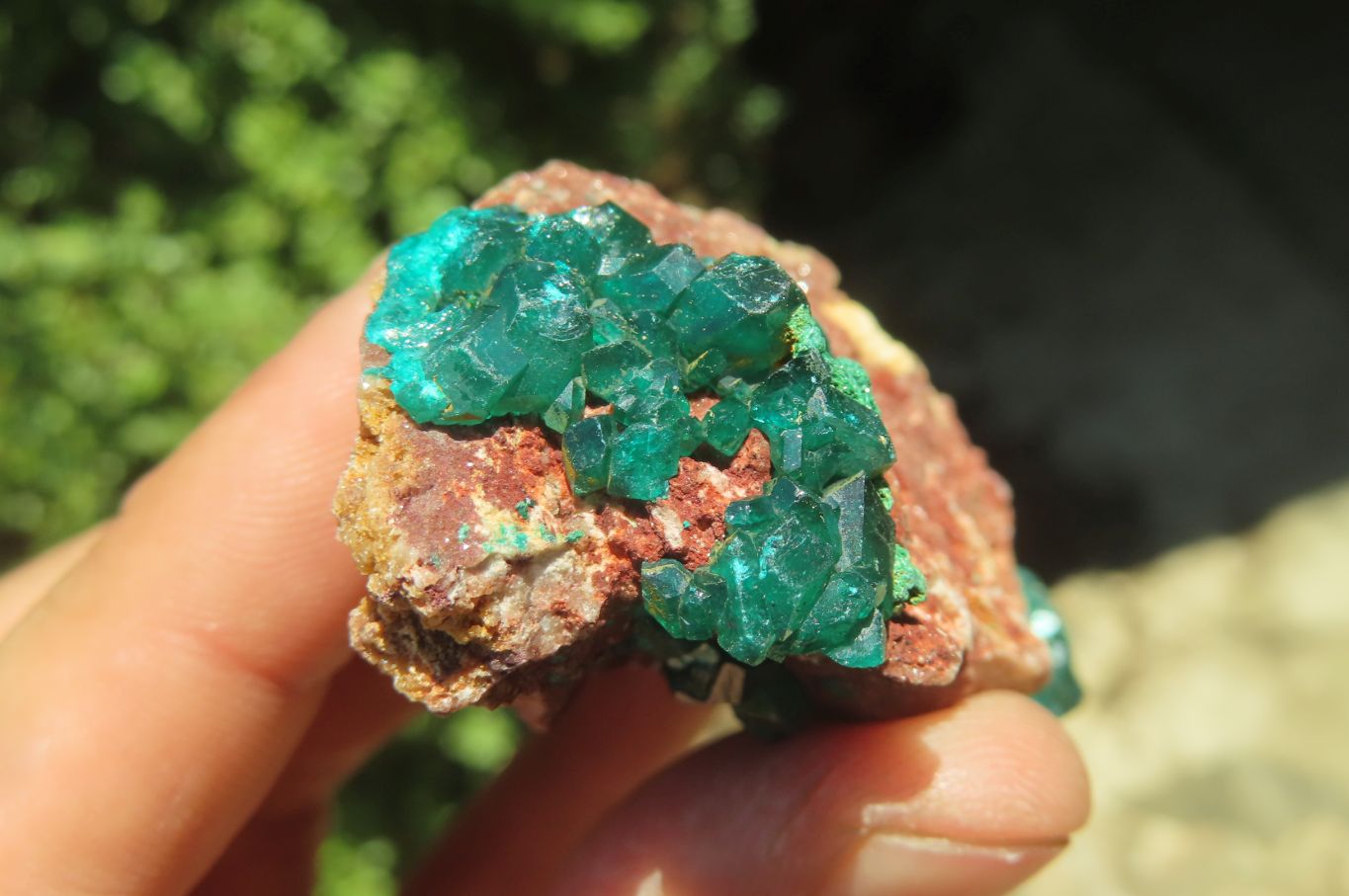 Natural Dioptase On Dolomite Specimens x 6 From Likasi, Congo - Toprock Gemstones and Minerals 