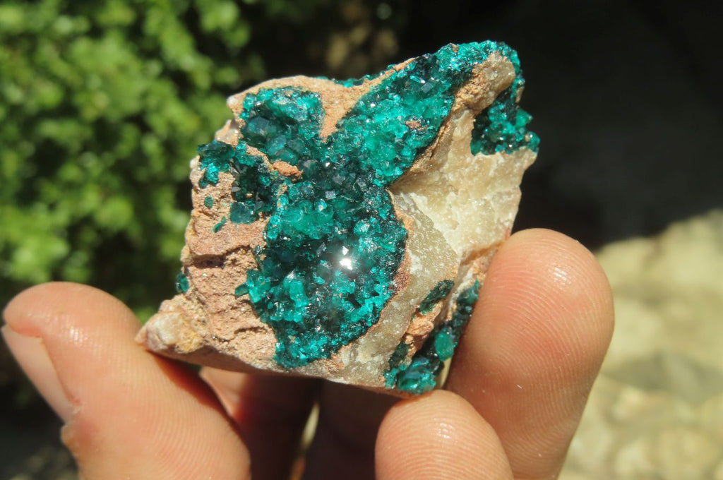 Natural Dioptase On Dolomite Specimens x 6 From Likasi, Congo - Toprock Gemstones and Minerals 