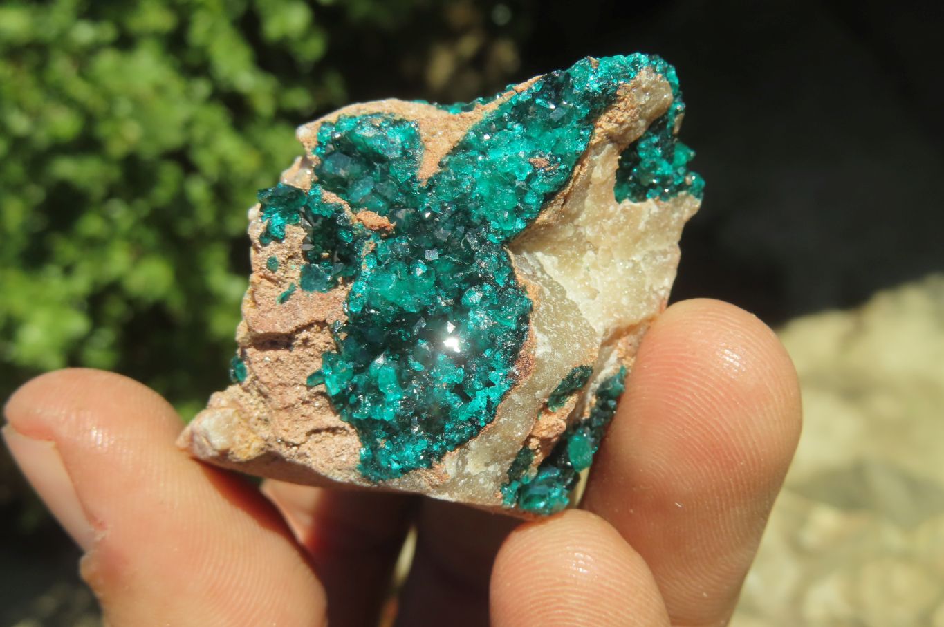 Natural Dioptase On Dolomite Specimens x 6 From Likasi, Congo - Toprock Gemstones and Minerals 