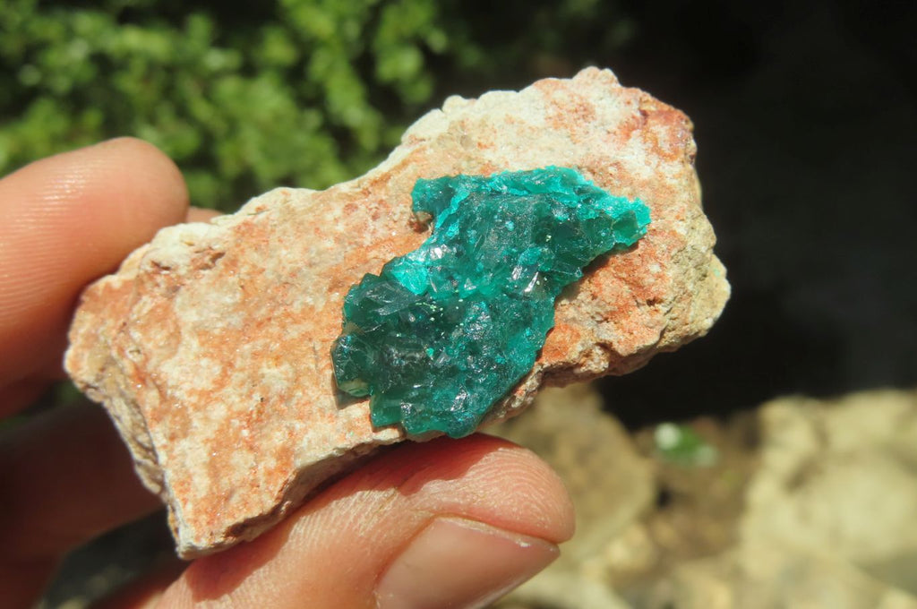 Natural Dioptase On Dolomite Specimens x 6 From Likasi, Congo - Toprock Gemstones and Minerals 
