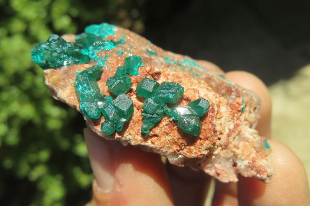 Natural Dioptase On Dolomite Specimens x 6 From Likasi, Congo - Toprock Gemstones and Minerals 