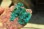 Natural Dioptase On Dolomite Specimens x 6 From Likasi, Congo - Toprock Gemstones and Minerals 