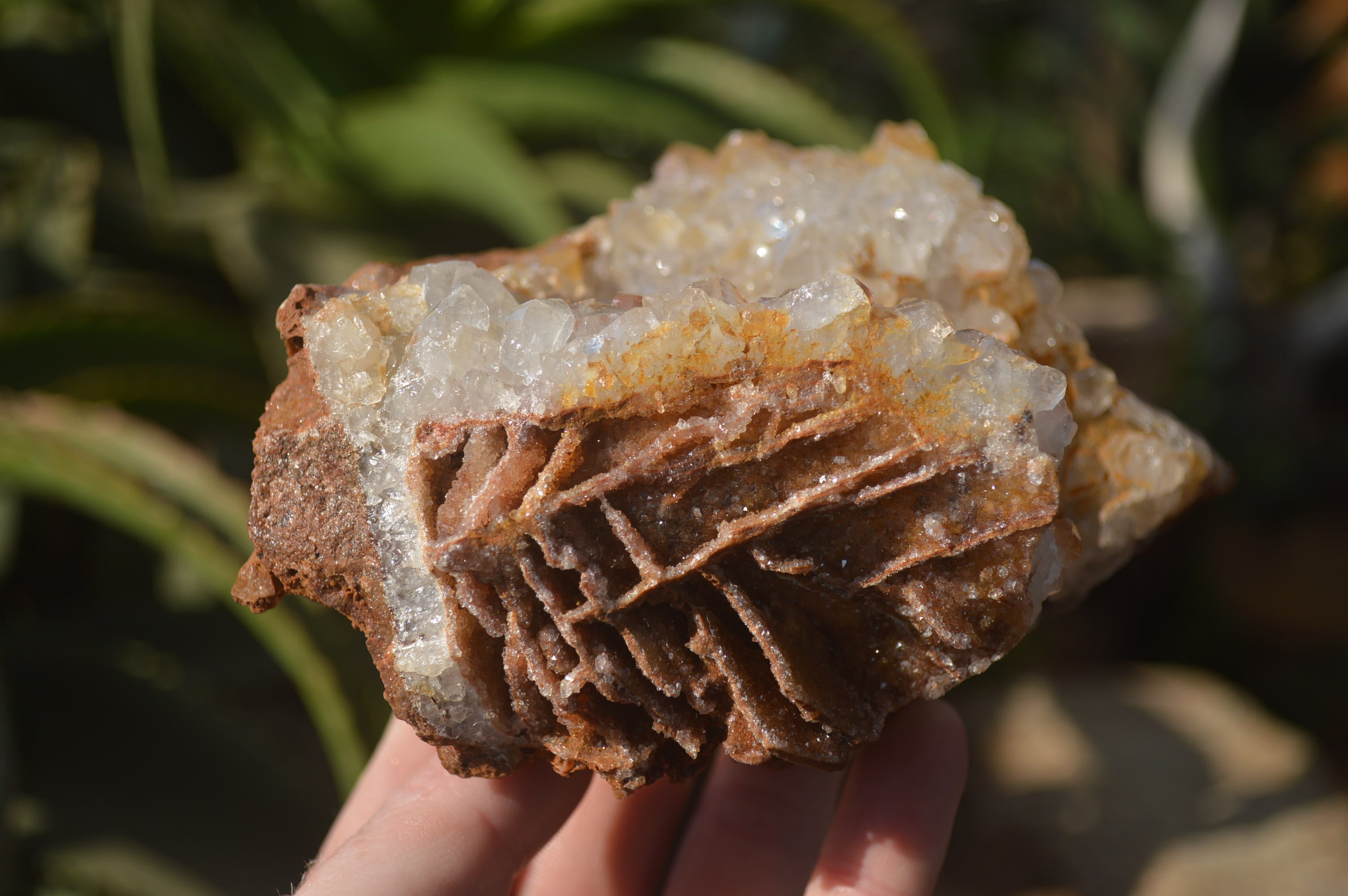 Natural Limonite Quartz Geodes x 4 From Solwezi, Zambia - Toprock Gemstones and Minerals 