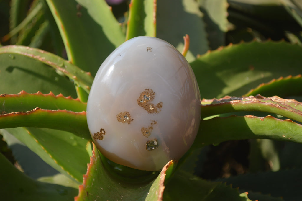 Polished Dendritic Agate Standing Free Forms x 4 From Madagascar - Toprock Gemstones and Minerals 