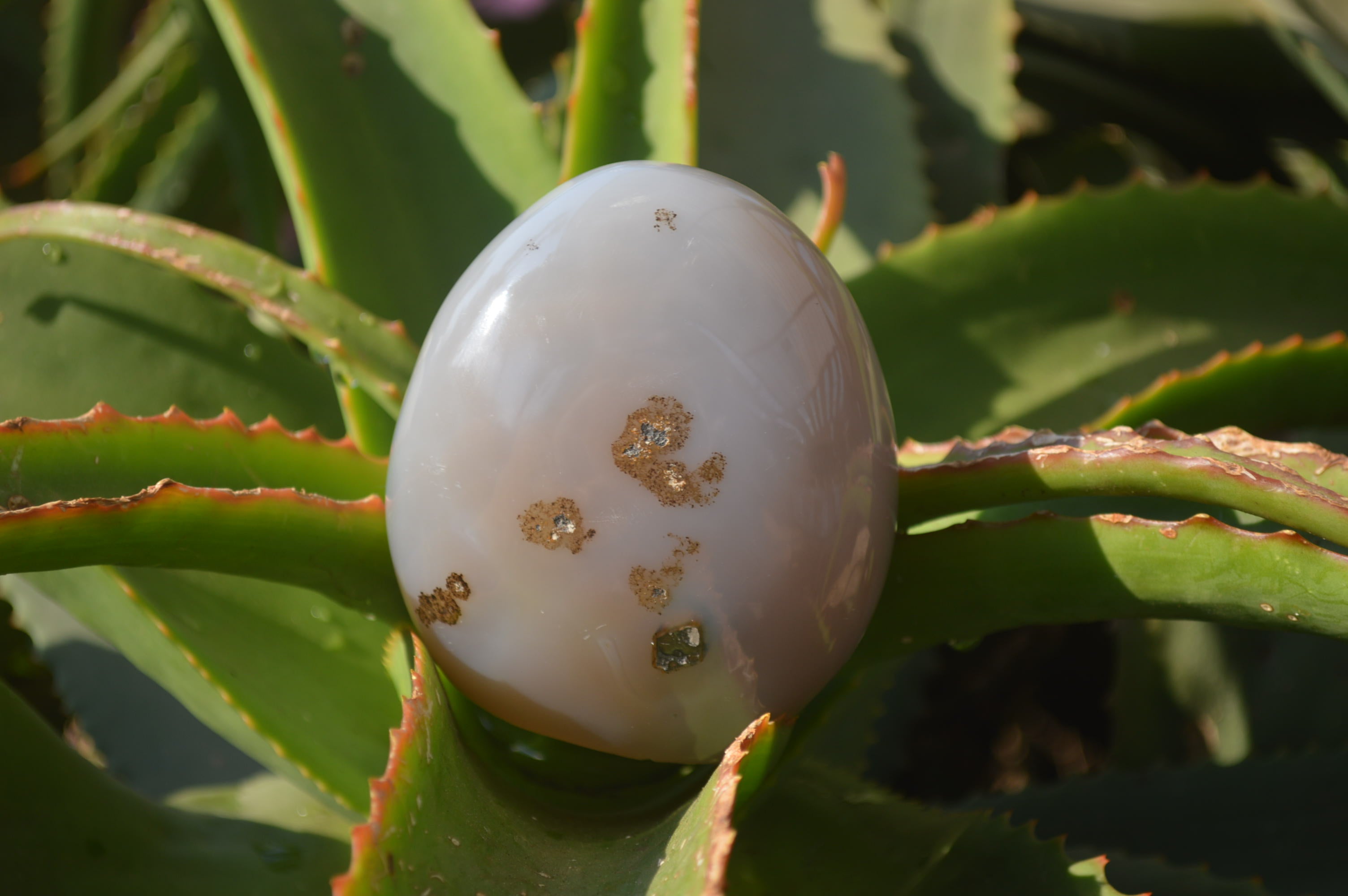 Polished Dendritic Agate Standing Free Forms x 4 From Madagascar - Toprock Gemstones and Minerals 
